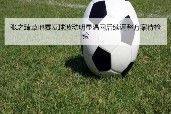 张之臻草地赛发球波动明显温网后续调整方案待检验